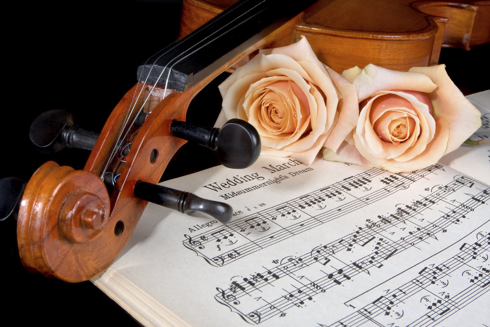 La musica per il matrimonio in chiesa