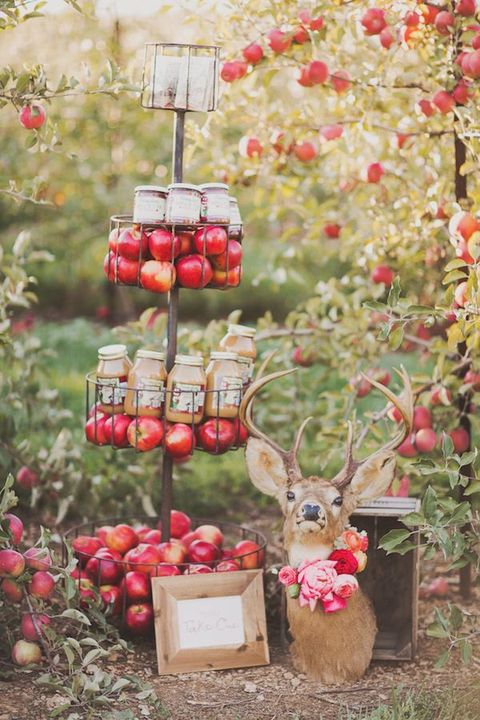 temi per il matrimonio autunnale