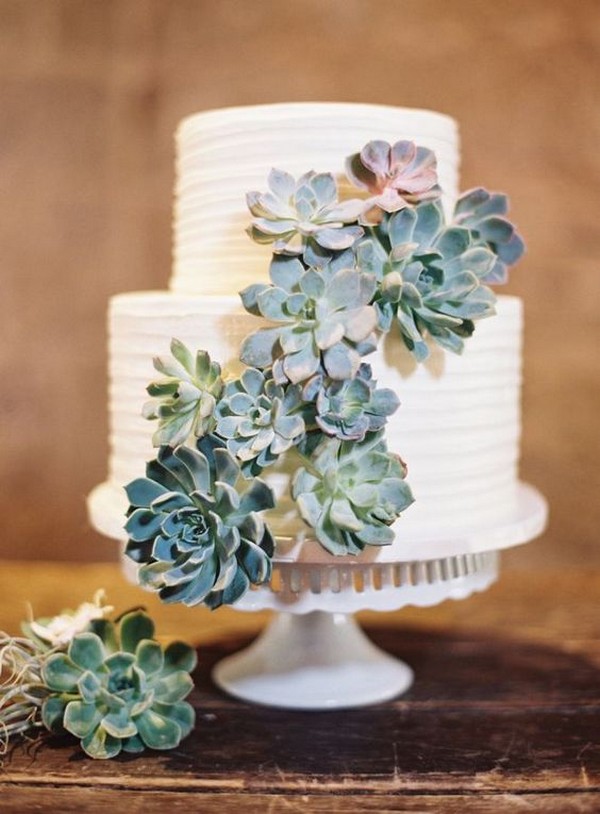 wedding cake con le succulente