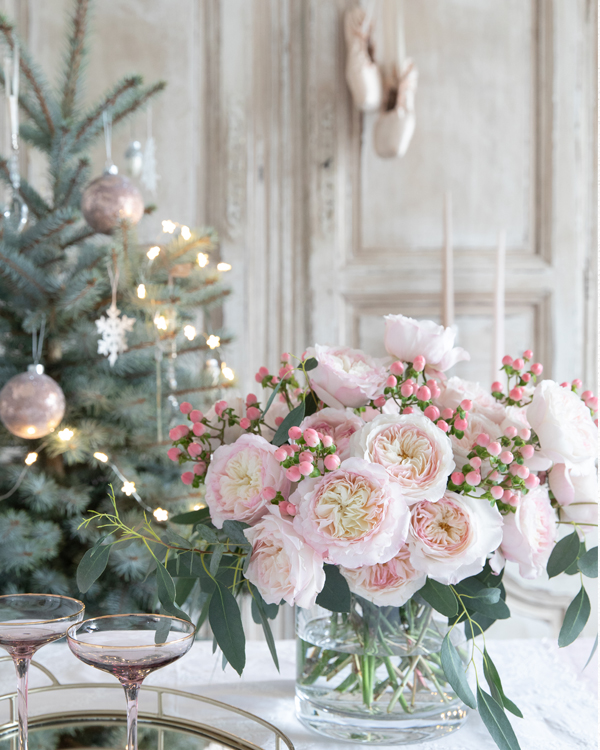 Rose inglesi per la decorazione natalizia