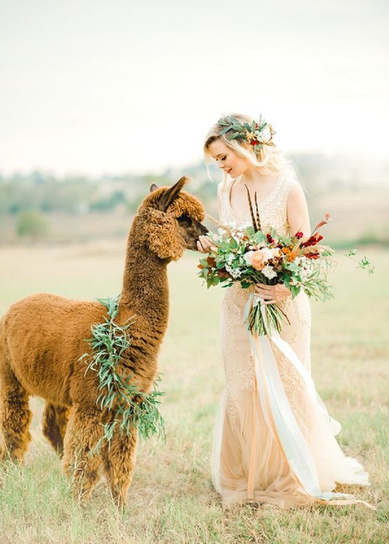 Animali al matrimonio: non solo cani!