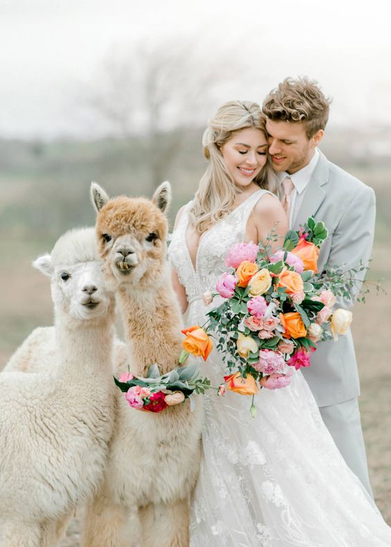 Animali al matrimonio: non solo cani!