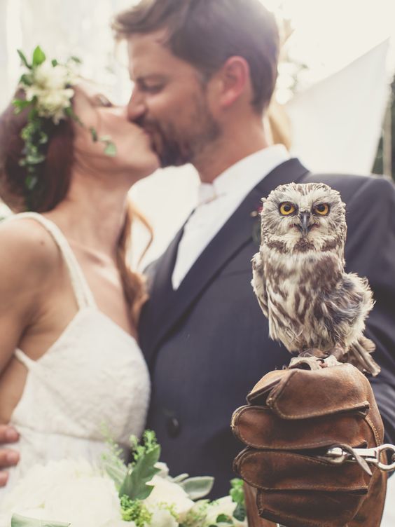 Animali al matrimonio: non solo cani!