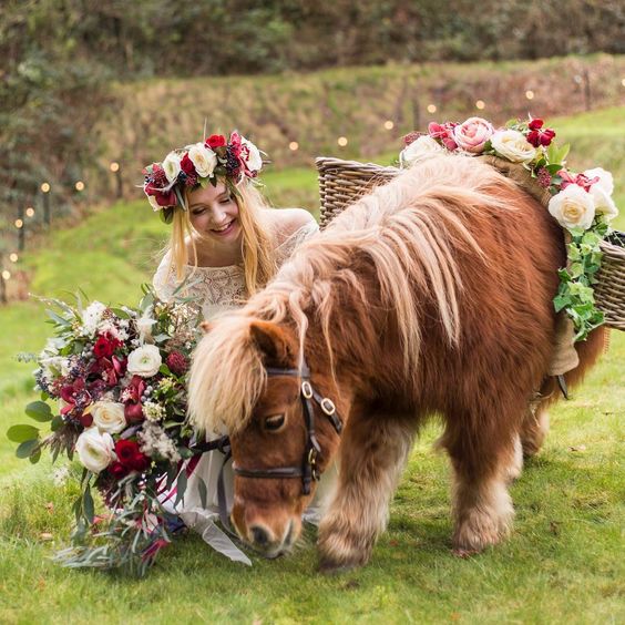 Animali al matrimonio: non solo cani!