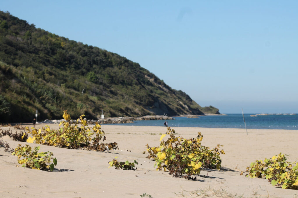 Da Portoverde al Monte San Bartolo