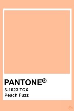 Peach Fuzz: colore pantone 2024